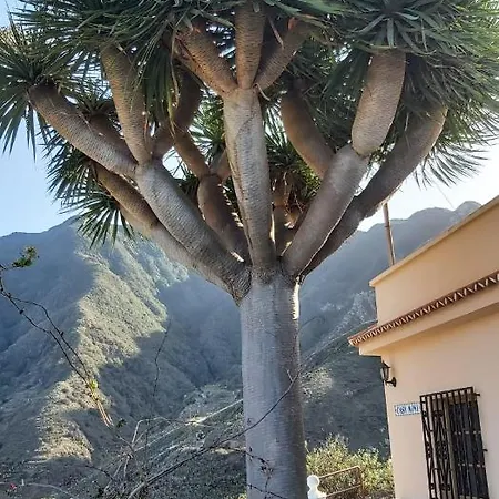 Casa Noni Holiday home Santa Cruz de Tenerife